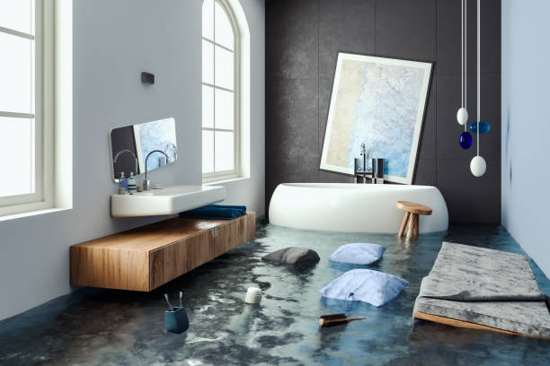 Best Flooded house restoration  in Oak Park Heights, MN