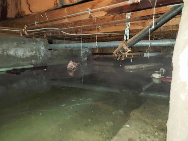 Best Fire Damage Restoration  in Oak Park Heights, MN