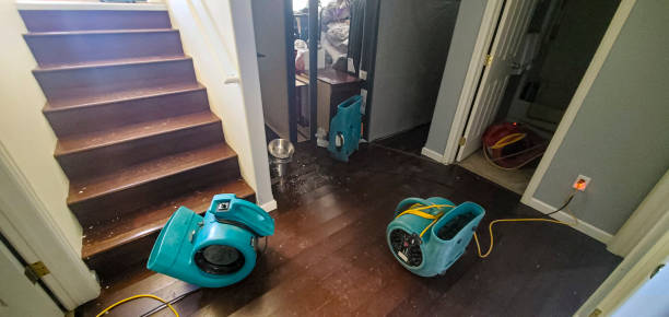 Best Water damage restoration near me  in Oak Park Heights, MN