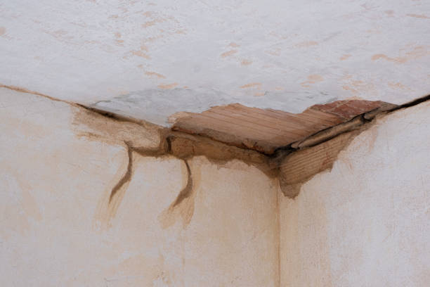 Oak Park Heights, MN Water damage restoration Company