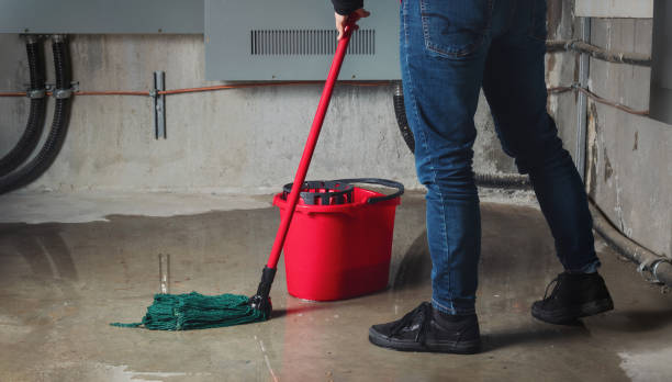 Best Ceiling water damage repair  in Oak Park Heights, MN