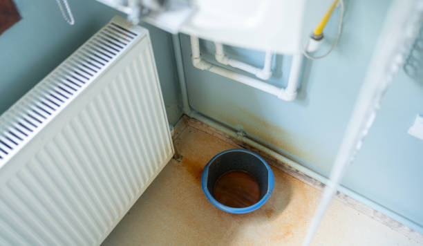 Best Commercial water damage restoration  in Oak Park Heights, MN